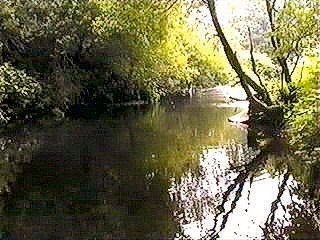 River colne at Milnsbridge