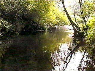 River colne at Milnsbridge